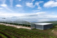 Agriculture through a business lens: Strengthening farm operations through planning and discipline