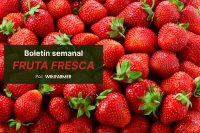 Las fresas griegas más baratas que las españolas e italianas en los mercados mayoristas europeos esta semana