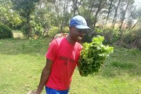 Farming without capital: One man's mission to empower youth in Kenyan agriculture