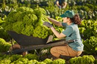For every €1 farmers earn, €4 goes to processors, retailers, and restaurants