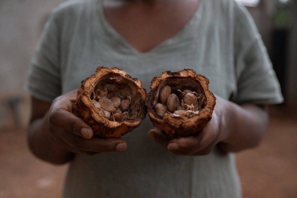 How Africa can turn cocoa into a thriving local economy