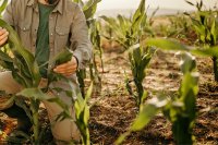 How Zimbabwean farmers are adapting to climate change