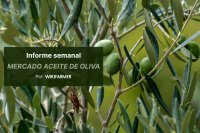 El mercado del aceite de oliva en pausa antes de Semana Santa
