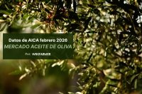 Los datos de AICA de febrero