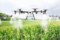 Sustainability as the new agricultural paradigm