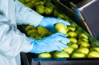 Understanding the concept of food safety in agriculture