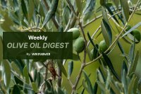 Olive oil market activity slows ahead of Easter break
