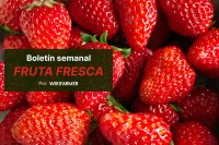 Boletín semanal de fruta fresca por Wikifarmer Los precios mayoristas de la fresa registran mínimos en 2026 por el pico de oferta en la UE