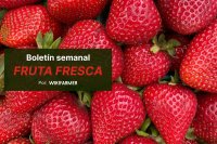 Boletín semanal de fruta fresca por Wikifarmer La campaña de la fresa alcanza su punto álgido mientras los cítricos entran en su recta final