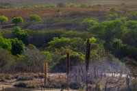 Climate adaptation on the farm is built from knowledge, not capital