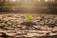 Climate-smart crop management for heat, frost, and extreme weather