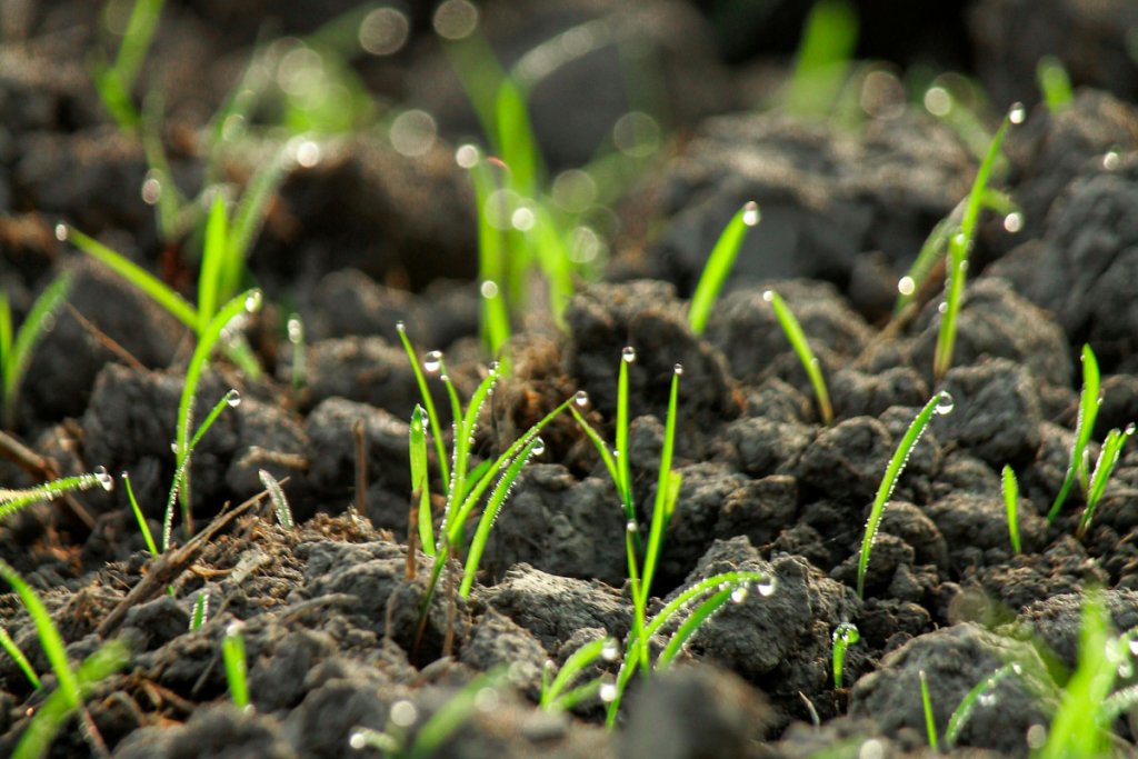Soil carbon management as both an environmental and economic opportunity