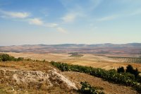 The Mediterranean agricultural sector and its geopolitical challenges The Mediterranean agricultural sector and its geopolitical challenges