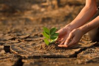 What climate change adaptation actually looks like on a Ugandan farm