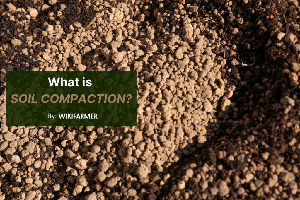 What is soil compaction?