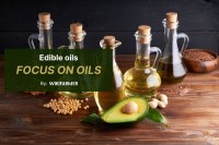 Global vegetable oil markets: Supply, trade, and diverging regional dynamics