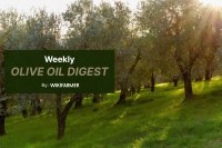 Olive oil prices hold steady as weak demand weighs on market