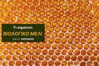 Όλα όσα πρέπει να ξέρετε για το βιολογικό μέλι
