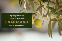 Χαμηλή κινητικότητα στο ελαιόλαδο, ενώ η ανθοφορία στηρίζει τις προσδοκίες για τη νέα σοδειά