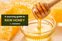 A guide to sourcing raw honey in bulk