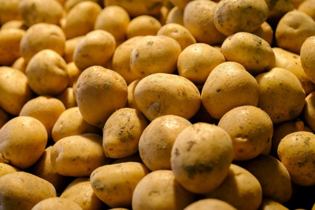 A deep dive into the global potato market (2026/27)