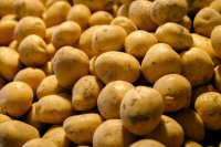 A deep dive into the global potato market (2026/27)