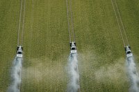Boosting crop yields and managing pests and diseases in Nigeria through smart farming