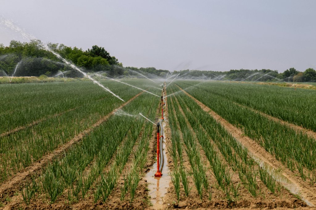 Carbon farming in context, insights from the Padova summit on building resilient farm systems