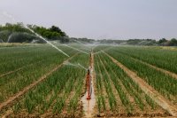 Carbon farming in context, insights from the Padova summit on building resilient farm systems