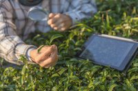 How training and collaboration help agrifood SMEs close the digital innovation gap How training and collaboration help agrifood SMEs close the digital innovation gap