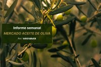 Informe semana del mercado de aceite de oliva, por Wikifarmer La demanda de aceite de oliva se frena ante la expectativa de una gran cosecha