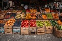 Global fresh produce trade in 2026: Wikifarmer team insights