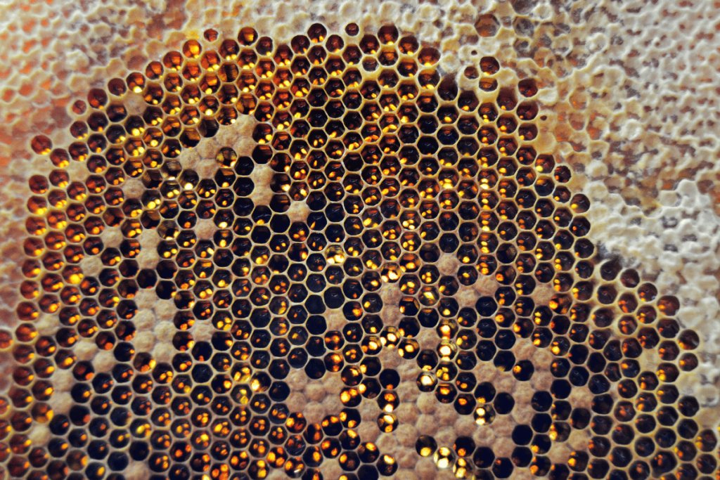Nutritional quality and diversity in honeybee health