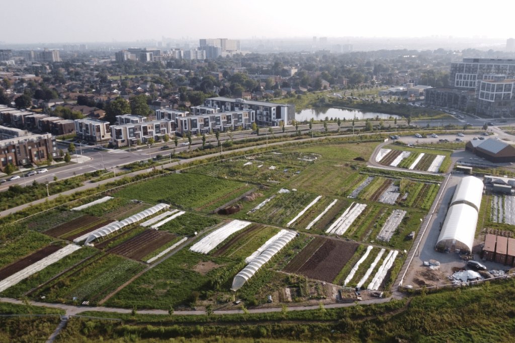 Operating a diversified small-farm business, integrating CSA, café, events, and education