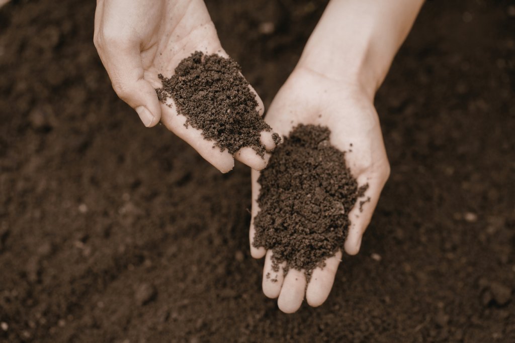 Soil carbon in regenerative agriculture, a Mercosur-EU perspective