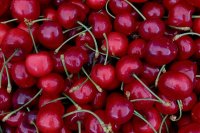 Stone fruit volumes flood EU markets, prices ease