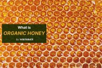 What is organic honey?