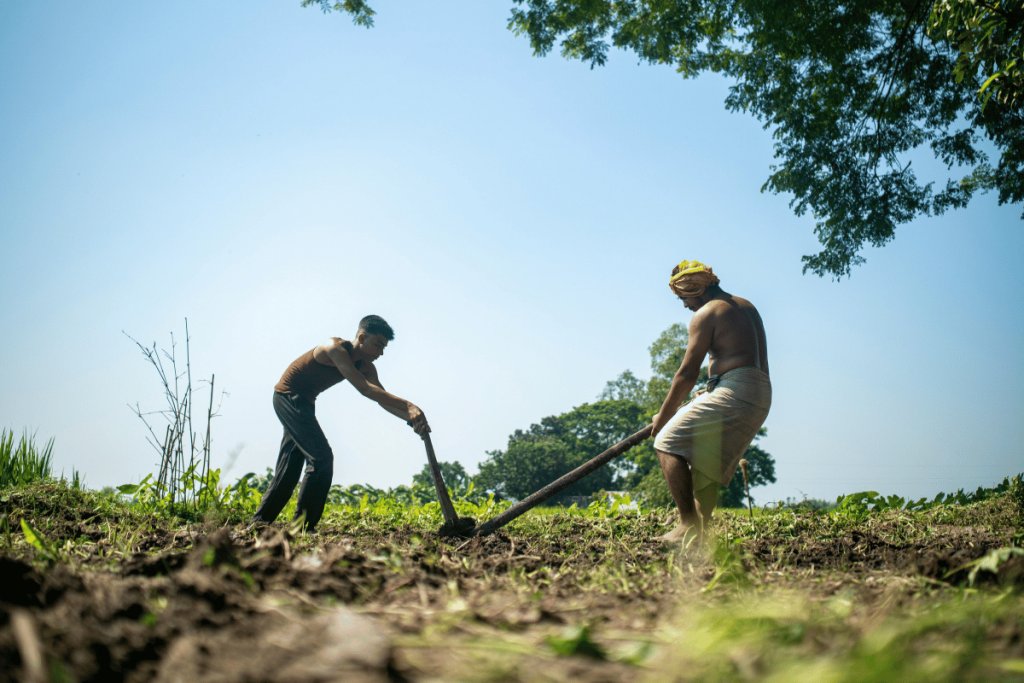 When work stress gets in the way of food safety: Lessons from a Nigerian farm