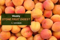 Stone fruit ramps up across European wholesale markets