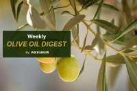 Olive oil prices flat as demand softens, 2026/2027 flowering positive