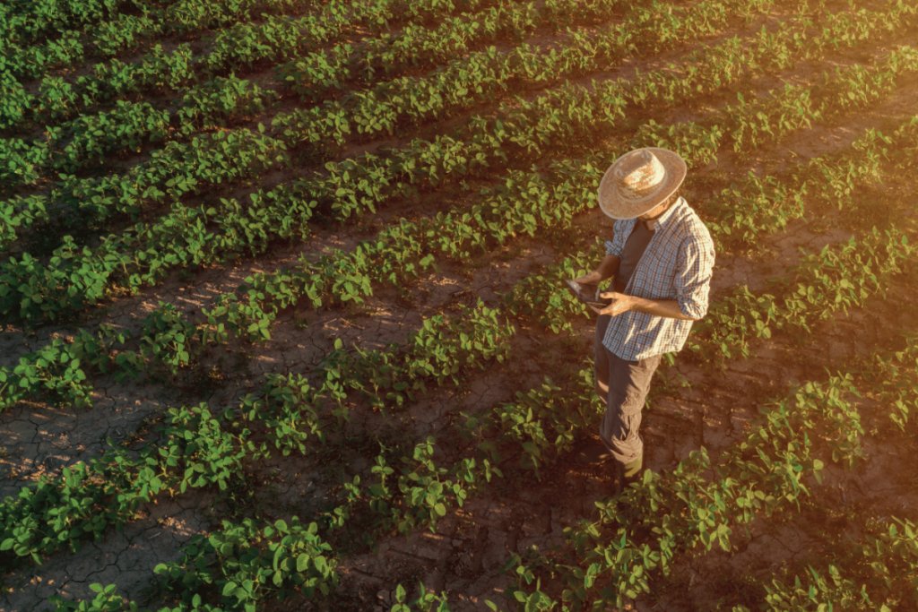 Farmclick is Greece's first digital marketplace for agricultural inputs