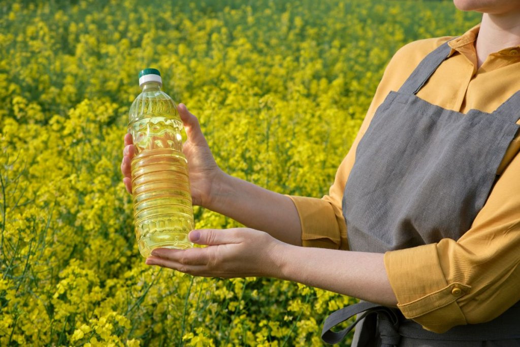 All about rapeseed and canola oil