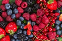 European berry market digest. Prices and market intelligence, by Wikifarmer Spanish berry supply shrinks as German and Polish supply enters markets