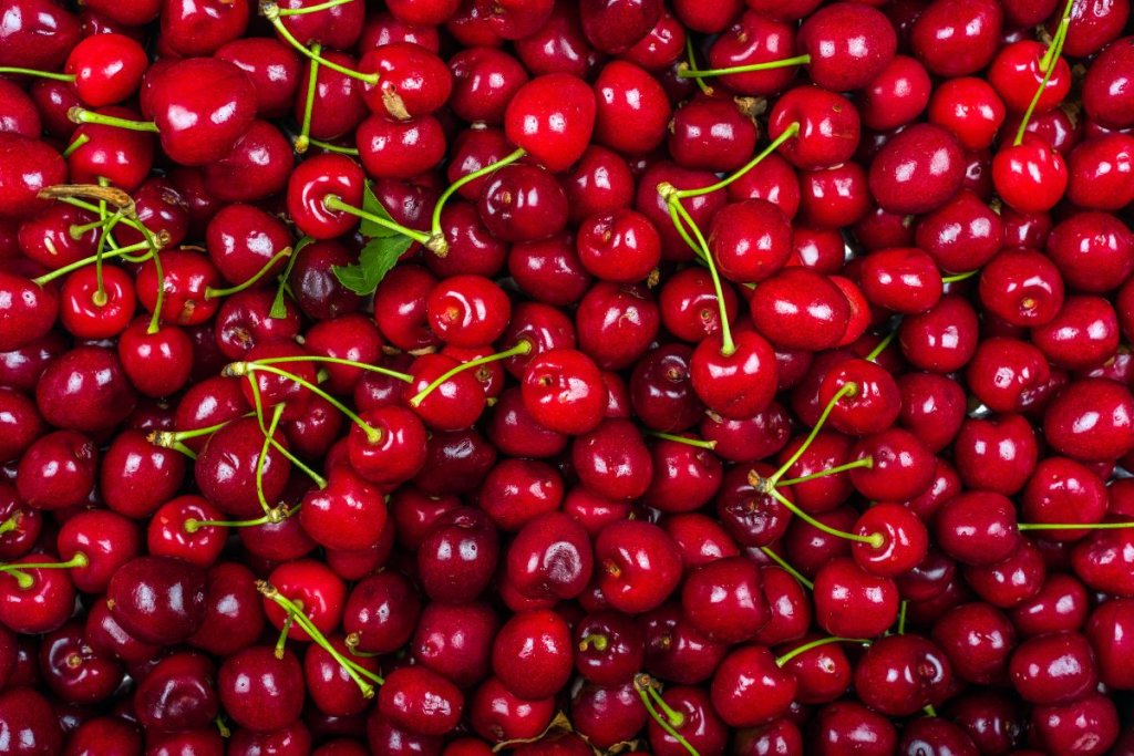 European stone fruit prices stabilize, cherry supply broadens
