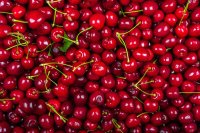 European stone fruit market report Prices and market intelligence, by Wikifarmer European stone fruit prices stabilize, cherry supply broadens