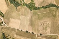 Fewer inputs, more profit, and more sustainability with remote sensing in agriculture
