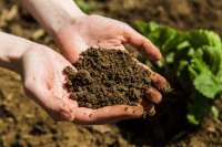 Genomics for living soils in regenerative farming