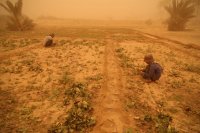How farmers are turning to nature to survive a hotter climate How farmers are turning to nature to survive a hotter climate