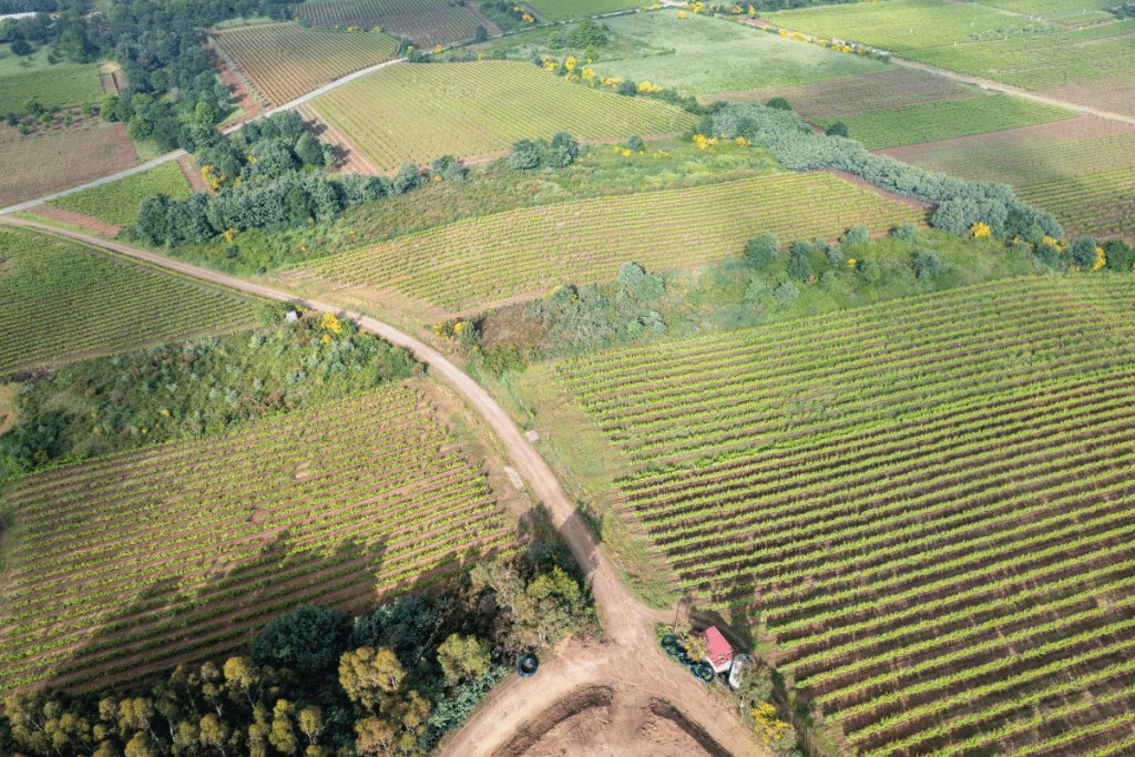 How remote sensing helps farmers read their soil from the sky