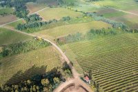 How remote sensing helps farmers read their soil from the sky How remote sensing helps farmers read their soil from the sky